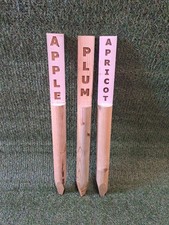 Wooden fruit tree for sale  DEVIZES