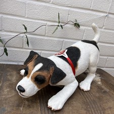 russell terrier puppies for sale  BIRMINGHAM