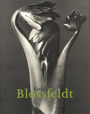 Karl blossfeldt 1865 gebraucht kaufen  Berlin