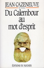 276 jean cazeneuve d'occasion  Saujon