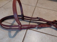 Western bridle professionals for sale  ABERDEEN