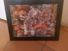 Bild tiger tigerkatze gebraucht kaufen  Öhningen