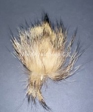Jackal horn talisman for sale  UK