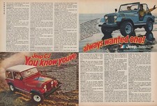 1979 jeep know for sale  Irons