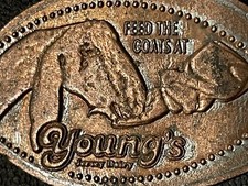 Young jersey dairy for sale  Memphis
