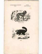 Antike lithographie grafik gebraucht kaufen  Leverkusen
