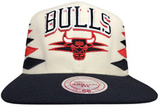 Chicago bulls nba for sale  Goodlettsville