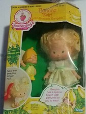 1985 strawberry shortcake for sale  Gallipolis