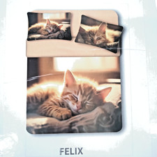 Completo lenzuola copriletto usato Completo lenzuola copriletto usato  Carpi