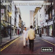 Oasis morning glory usato  Piacenza