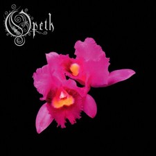 Opeth orchid banner for sale  Girard