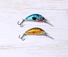 Salmo Hornet H2S, H3S, H3F, Forellen-Wobbler 2,5+3,5 cm, 11 Farben, Bachforelle comprar usado Salmo Hornet H2S, H3S, H3F, Forellen-Wobbler 2,5+3,5 cm, 11 Farben, Bachforelle comprar usado  Enviando para Brazil