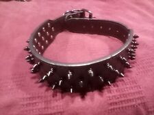 Spiked studded dog for sale  Chicago