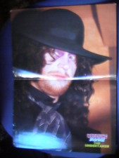 Poster wrestling mania gebraucht kaufen  Niesky