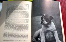 J.de bairacli. levy usato J.de bairacli. levy usato  Sante Marie