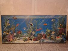 Quadro raffigurazione acquario usato  Spilimbergo