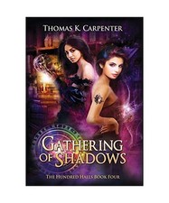 Gathering shadows the gebraucht kaufen  Trebbin