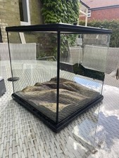 Stick insect tank for sale  REIGATE