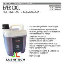 Sintoflon ever cool usato  Reggio Emilia
