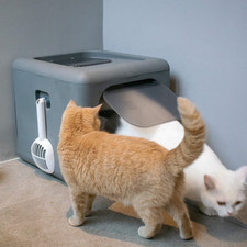 Toilette per gatti usato  Spedire a Italy