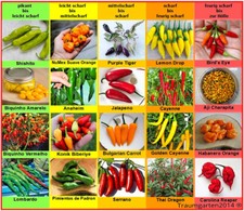 Assortimento semi peperoncino usato  Spedire a Italy
