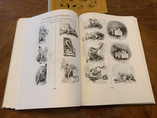 Dicke busch buch gebraucht kaufen  Deutschland