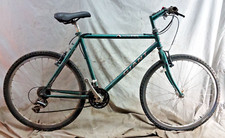 1992 giant iguana for sale  Madison
