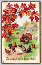 Postcard thanksgiving greeting for sale  Saco