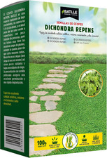 Dichondra repens usato  Roma