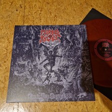 Morbid angel live gebraucht kaufen  Rheinfelden (Baden)
