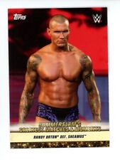 2019 wwe summerslam for sale  Parker
