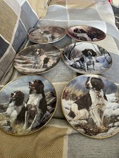Springer spaniel plates for sale  YEOVIL