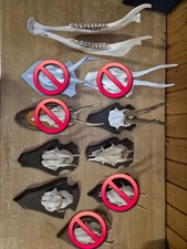 Rehgeweih rehgehörn dekogewei gebraucht kaufen  Michelstadt