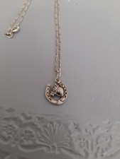 Horse horseshoe lucky for sale  MANCHESTER
