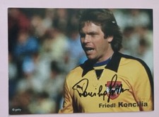 Friedl koncilia österreich gebraucht kaufen  Deutschland