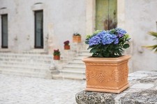 Vaso polimero monacis usato  Ospitaletto