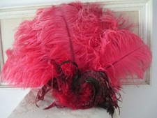 exotic bird feathers for sale  Kalamazoo