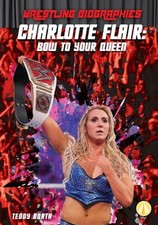 Charlotte flair bow for sale  DERBY