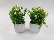 Set feilanduo potted for sale  Kansas City