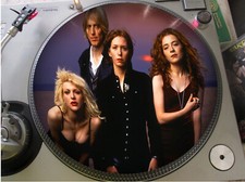Hole - Celebrity Skin 12" PICTURE DISC LP NM ULTRA RARE comprar usado  Enviando para Brazil