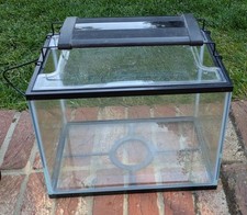 20l tropical fish for sale  DISS