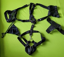 Gay geschirr fetisch gebraucht kaufen  Gera