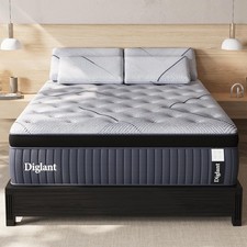 Queen mattress 14inch for sale  Pottsville