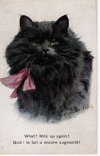 Vintage postcard.cat milk for sale  LOANHEAD