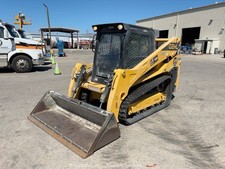 just skid serviced steer for sale just skid serviced steer for sale Boise
