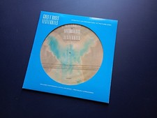 picture disc usato  Volvera
