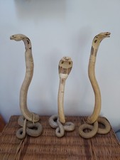 Cobra naturalisé naja d'occasion  Paris XIV
