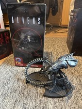 Alien queen fig for sale  ST. HELENS