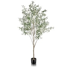 Faux olive tree for sale  Saint James