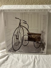 Vintage bike basket for sale  Folsom